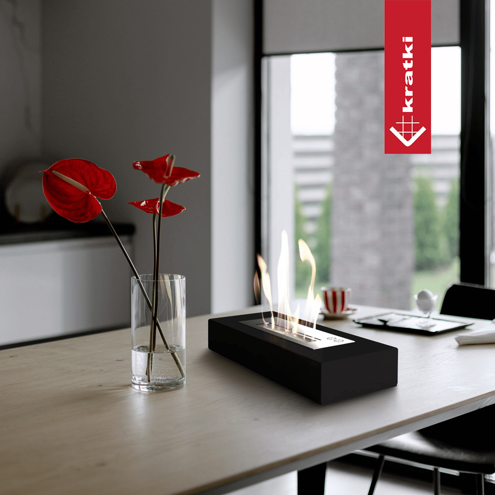 Bio-cheminée sur pied Freestanding noir (certifiée TÜV) — photo 2