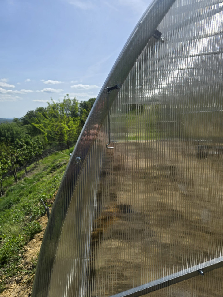 Serre Modulaire en Acier Gaudi | Largeur 4,00m — photo 23